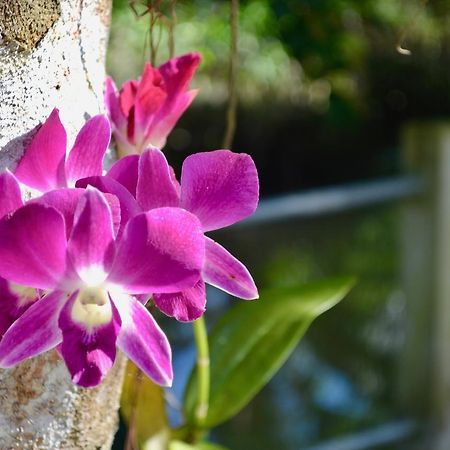 Nguyen Shack - Mekong Cần Thơ Ngoại thất bức ảnh